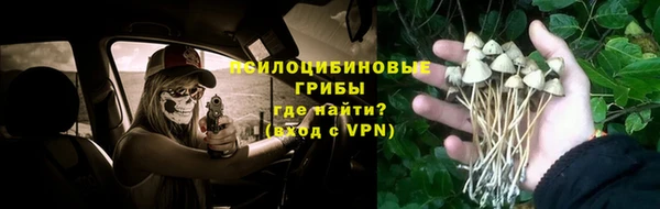 дмт Иннополис