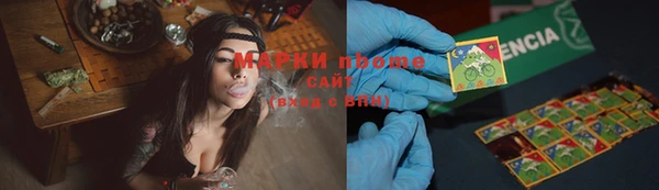 хмурый Инта