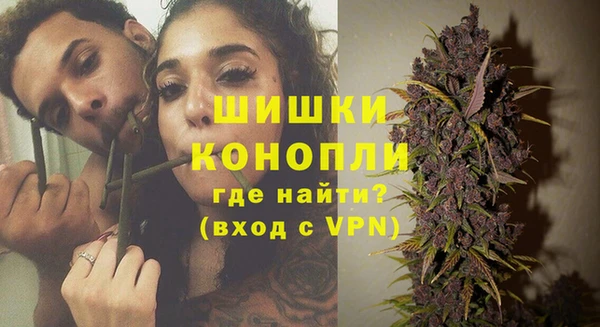 хмурый Инта