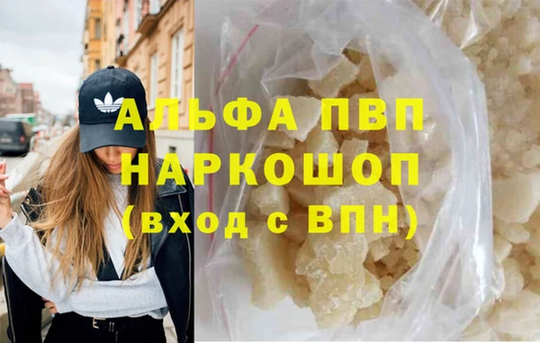 хмурый Инта