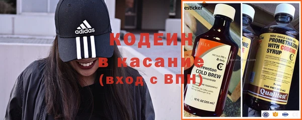 хмурый Инта