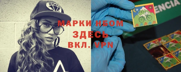 хмурый Инта
