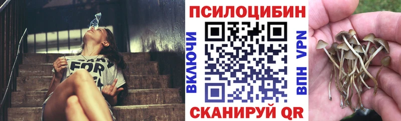 Купить закладки  Артёмовск  Галлюциногенные грибы мицелий 